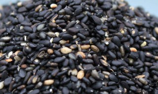 熟芝麻可以直接吃吗 熟芝麻能不能直接食用