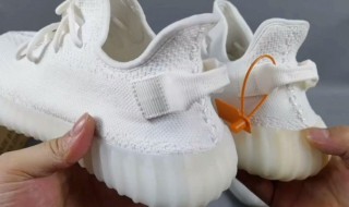 椰子怎么鉴别真假 椰子如何鉴别真假