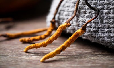 西宁特产有哪些土特产品 青海西宁可以带走的小吃特产