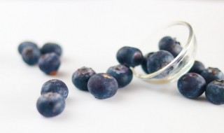 蓝莓储存方法 蓝莓的贮存方式