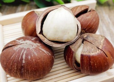 鲜榛子可以冷冻保存吗 放冷藏好还是冷冻好