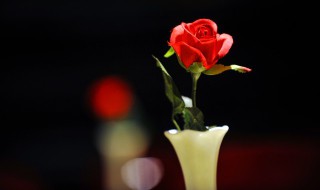 家里摆假花有什么说法吗 家里摆放假花的禁忌