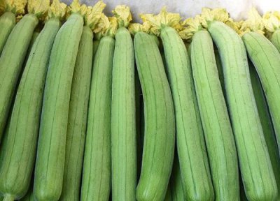 丝瓜成熟时间 丝瓜什么时候成熟