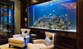 新开的鱼缸需要清洗吗多久 新开的鱼缸如何处理