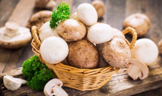 蘑菇要炖多久 蘑菇要炖几分钟呢