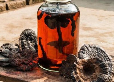 灵芝和树舌区别 灵芝与树舌有什么区别