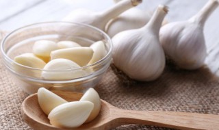 在家大蒜种植方法 在家大蒜怎么种植方法