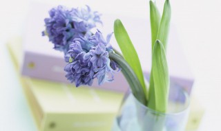 励志小清新语录唯美 阳光简短励志唯美小清新句子