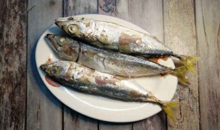 哪些人不宜吃巴浪鱼 巴浪鱼的禁忌人群有哪些