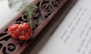 2023年兔年戴什么吉祥物 2023年兔年可以戴哪些吉祥物