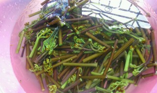 新鲜蕨菜怎样泡好吃 新鲜蕨菜如何泡好吃