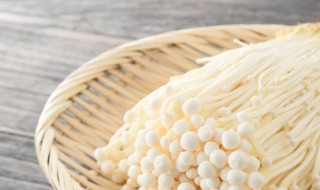 新鲜的金针菇拌凉菜怎么做 金针菇拌凉菜做法