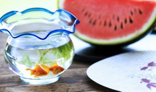 鱼缸多久全部清洗一次 鱼缸清洗间隔时间