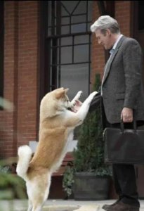 感人电影催泪的电影 让人泪流满面的五部优质影片推荐