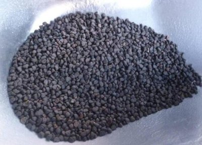 矮牵牛种子播种时间 矮牵牛种子什么时候播种最好