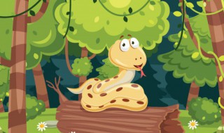 吃蛇肉的好处和坏处 吃蛇肉一般有哪些好处和坏处呢