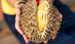 怎么分辨榴莲好坏 分辨榴莲品质好坏的方法介绍
