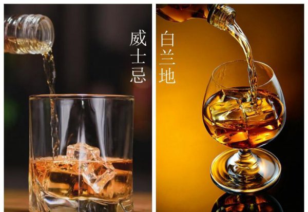 威士忌和白兰地的区别