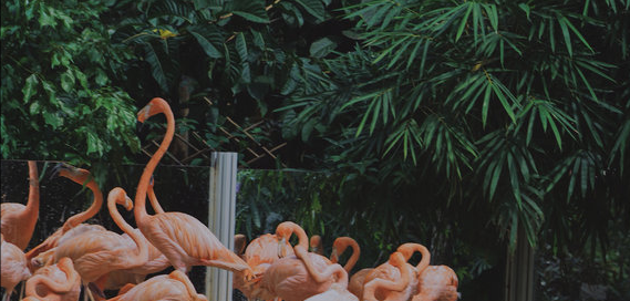 深圳有什么好玩的地方