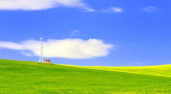 呼伦贝尔大草原在哪里