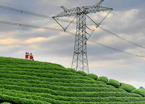 山东电力高等专科学校