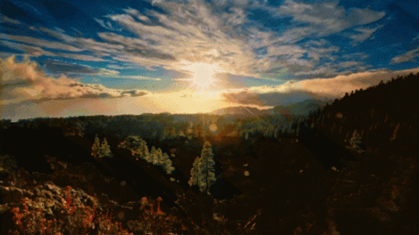 为什么叫金九银十