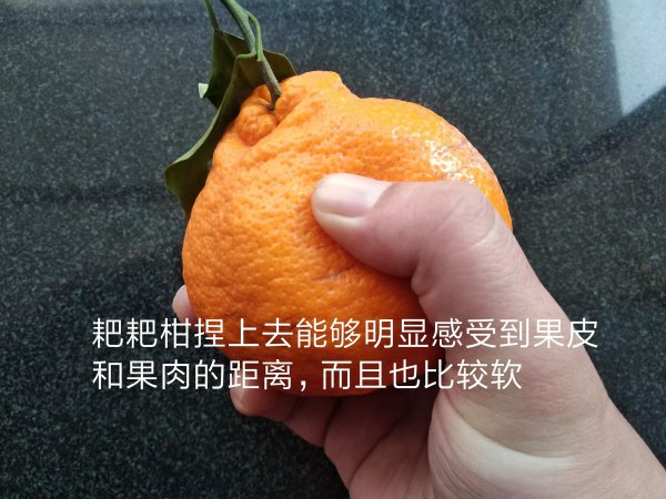 耙耙柑与丑橘的区别图片