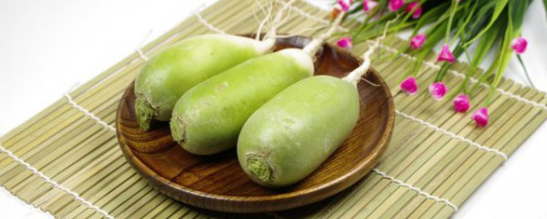 萝卜吃哪个部位