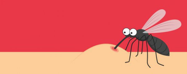 电蚊香片可以开一整个晚上吗