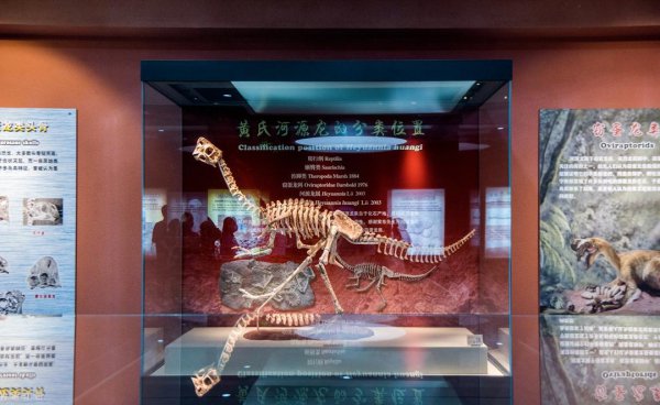 河源是哪个省的城市