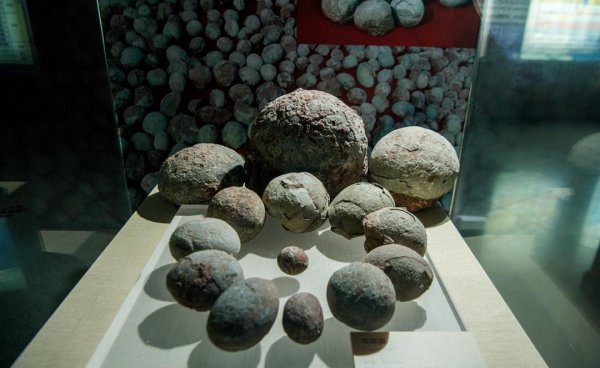 河源是哪个省的城市