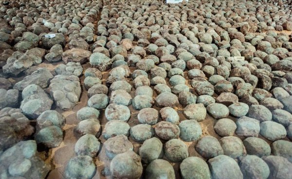 河源是哪个省的城市