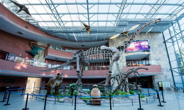 河源是哪个省的城市