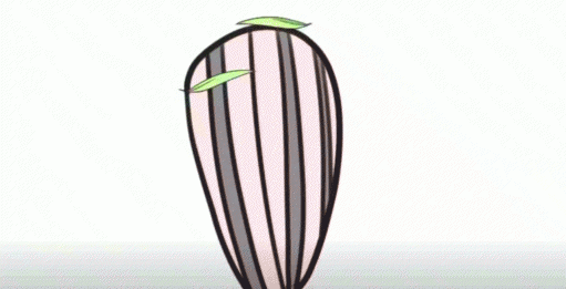 人脸识别的原理是什么