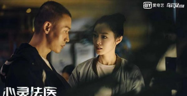 破案的电视剧有什么比较好看