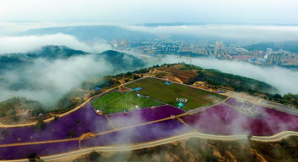 庆城县属于哪个市