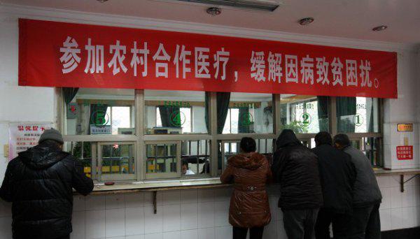 合作医疗保险一年多少钱啊