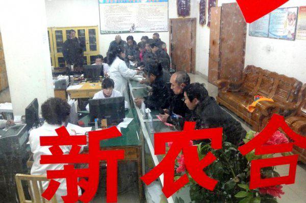 合作医疗保险一年多少钱啊