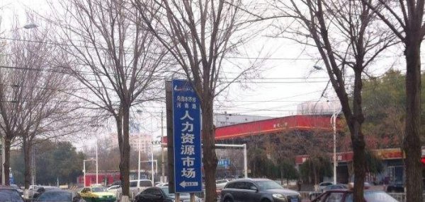 普通人去新疆能做什么工作