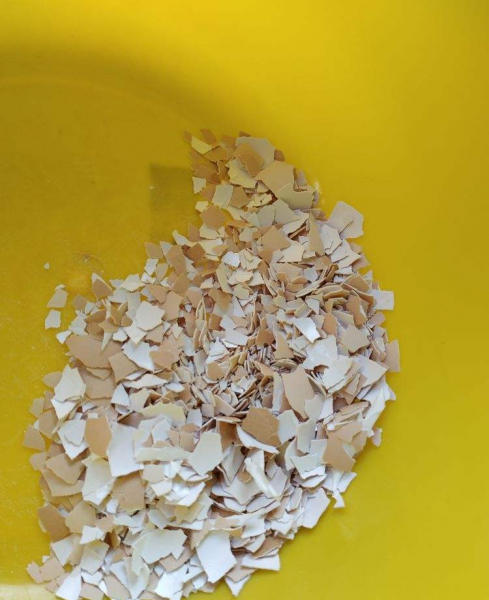 春季施肥以什么肥为主