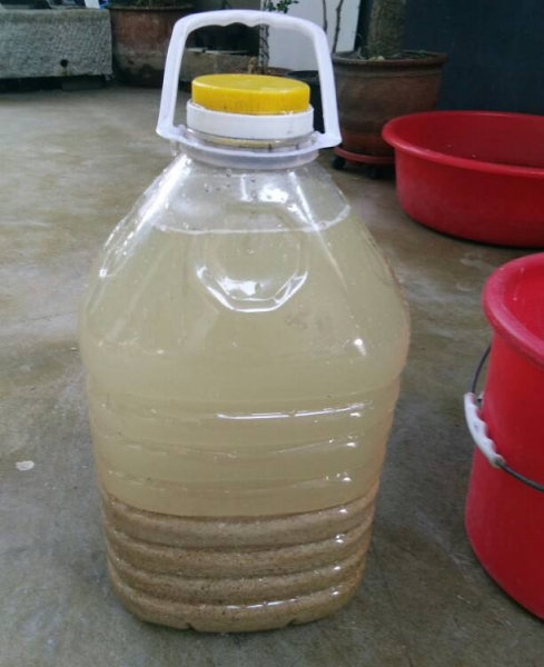 春季施肥以什么肥为主