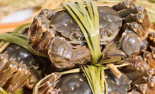 螃蟹几月份最好吃