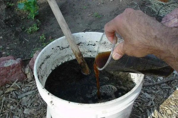 草木灰的主要成分是什么