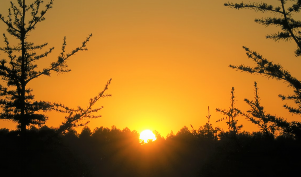 一般人斗不过巨蟹座女