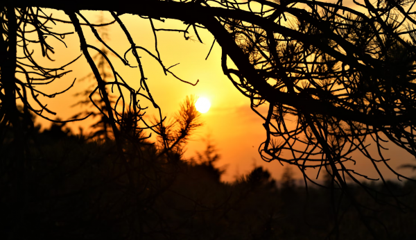 一般人斗不过巨蟹座女