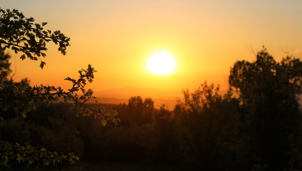 一般人斗不过巨蟹座女
