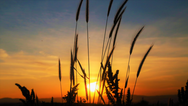 一般人斗不过巨蟹座女