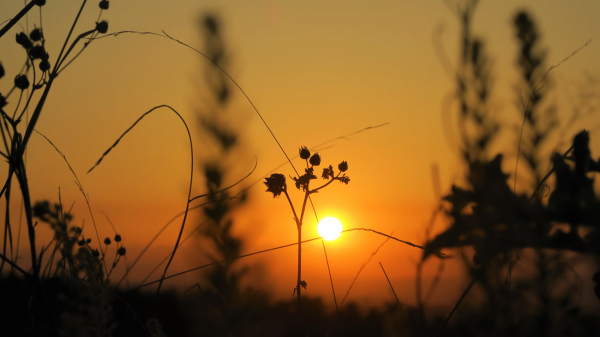 一般人斗不过巨蟹座女