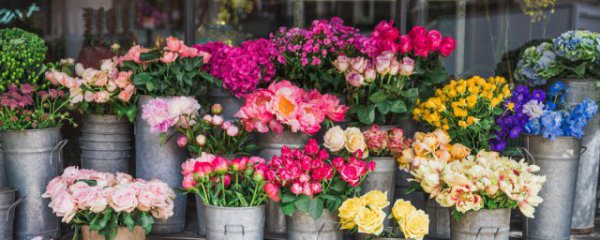 怎么让鲜花保持新鲜