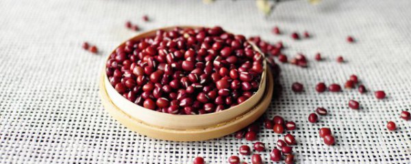 晚上吃红豆会胖吗